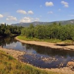 Тело пропавшей девушки нашли в пруду в гитарном чехле