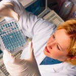 ВОЗ заявила о неизбежности распространения лихорадки Эбола в Европе