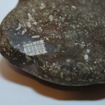 Российские ученые нашли камень с микрочипом возрастом 250 млн лет