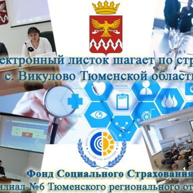 Электронный листок шагает по стране. Село Викулово Тюменской области.