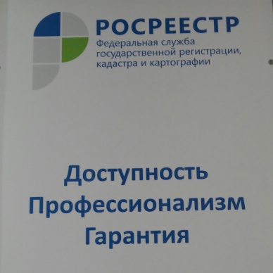 Тюменцы активно пользуются услугами Росреестра для защиты своей собственности