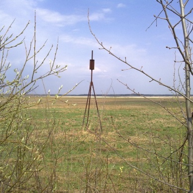 Вопросы в области геодезии и картографии разъяснили в Управлении Росреестра по Тюменской области