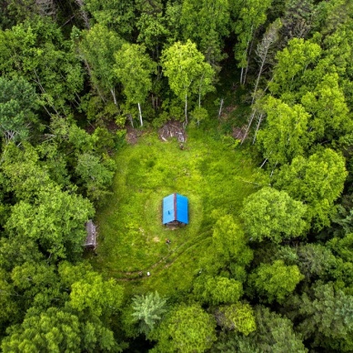 Закон о «лесной амнистии»: что надо знать собственнику