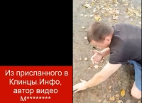 Клинцы, Брянская область, неизвестный напал на старушку