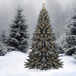 К 15 декабря лесники подготовят новогодние ели для тюменцев