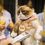 Хозяева "сердитой кошки" стали мультимиллионерами благодаря ее популярности в интернете